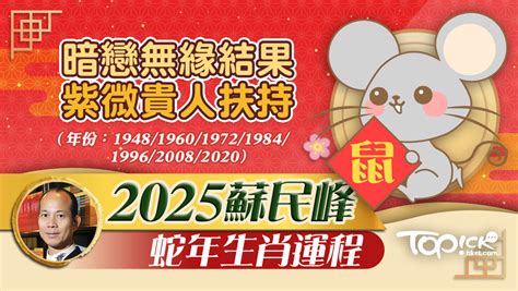 2025鼠年運程1972|2025 肖鼠流年運程 